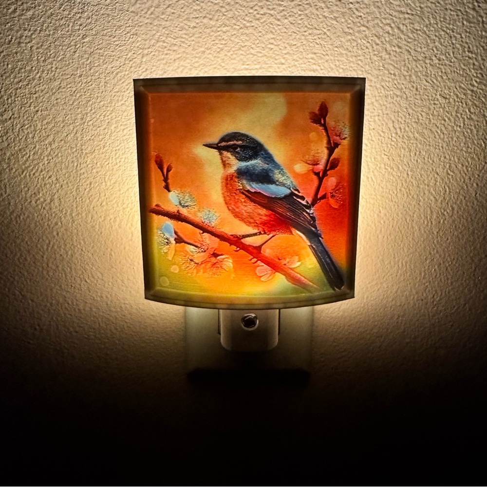Bird Night Light with Orange and Blue Design